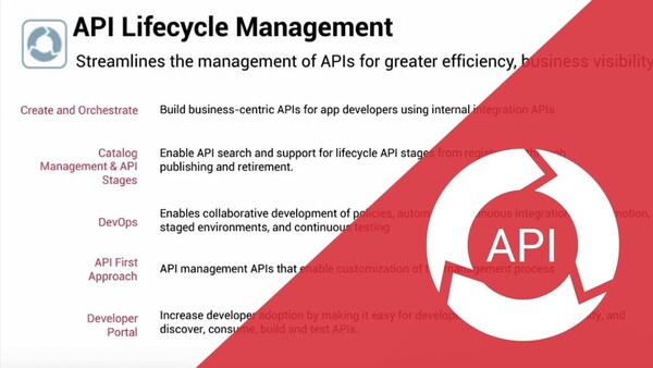 Zoom on API Lifecycle Management