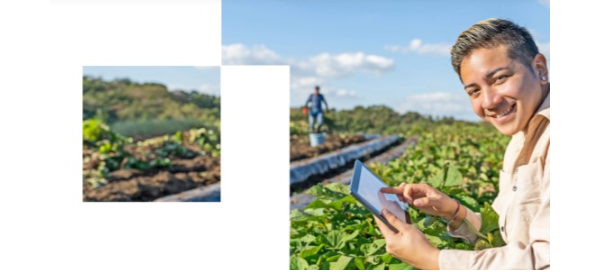 Sample content thumbnail