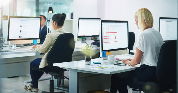 Women in an office working at their desks